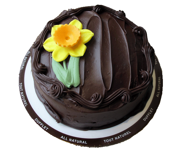 Chocolate Fudge Single Layer - Daffodil Cake